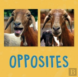 Bertrand.pt - Opposites