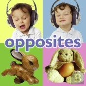 Opposites
