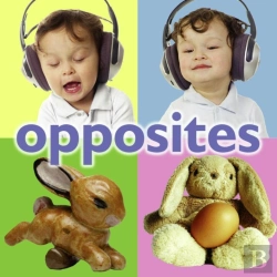 Bertrand.pt - Opposites
