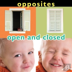 Bertrand.pt - Opposites: Open And Closed