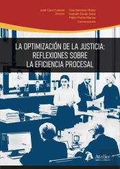 Optimacion De La Justicia: Reflexiones Sobre La Eficiencia Procesal
