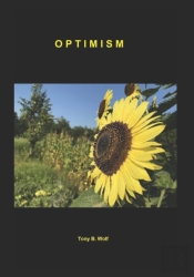 Optimism