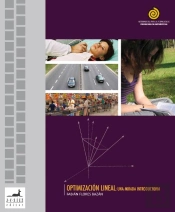 Optimización Lineal: Una Mirada Introductoria