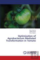 Optimization Of Agrobacterium Mediated Transformation In Tomato