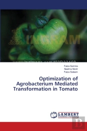 Optimization Of Agrobacterium Mediated Transformation In Tomato