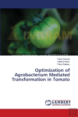 Bertrand.pt - Optimization Of Agrobacterium Mediated Transformation In Tomato