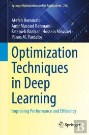 Optimization Techniques For Deep Learning