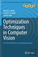 Optimization Techniques In Computer Vision