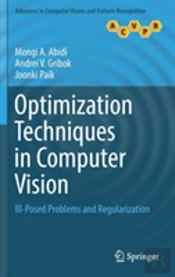 Optimization Techniques In Computer Vision