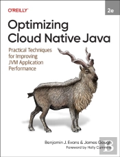 Optimizing Cloud Native Java