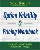 Option Volatility & Pricing Workbook: Practicing Advanced Trading Strategies And Techniques