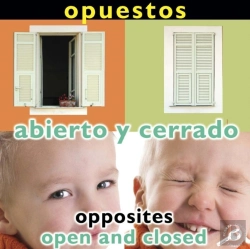 Bertrand.pt - Opuestos: Abierto Y Cerrado