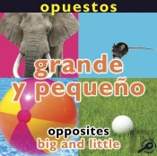 Opuestos: Grande Y Pequeno