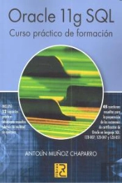 Oracle 11g Sql  