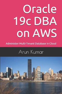 Bertrand.pt - Oracle 19c Dba On Aws