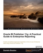 Oracle Bi Publisher 11g
