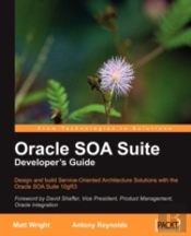 Oracle Soa Suite Developer'S Guide