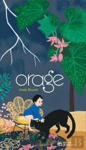 Orage