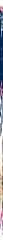 Oral Pathology/Radiography