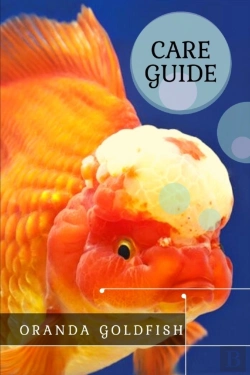 Bertrand.pt - Oranda Goldfish