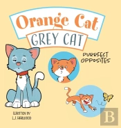 Orange Cat Grey Cat