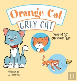 Bertrand.pt - Orange Cat Grey Cat