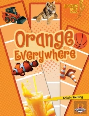Orange Everywhere