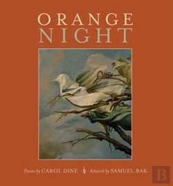 Bertrand.pt - Orange Night