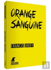 Orange Sanguine - Une Nouvelle Enquete De Stanislas Barberian A Binche