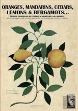 Oranges, Mandarins, Cedars, Lemons & Bergamots..