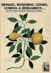 Oranges, Mandarins, Cedars, Lemons & Bergamots..