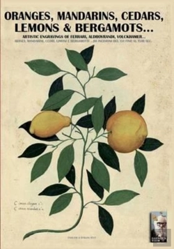 Bertrand.pt - Oranges, Mandarins, Cedars, Lemons & Bergamots..