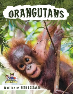 Bertrand.pt - Orangutan Activity Workbook For Kids Age 4-8!