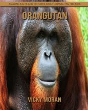 Orangutan