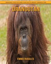 Orangutan