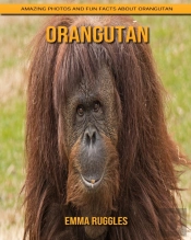 Orangutan