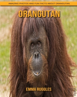 Bertrand.pt - Orangutan