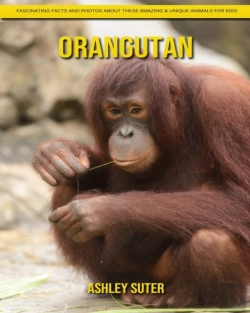 Bertrand.pt - Orangutan