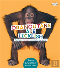 Orangutans Are Ticklish