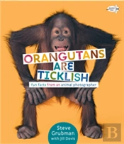 Orangutans Are Ticklish