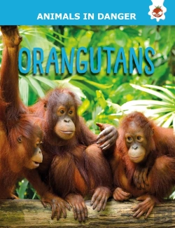 Bertrand.pt - Orangutans