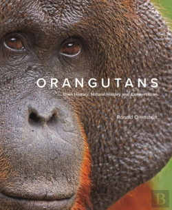 Bertrand.pt - Orangutans