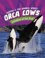Orca Cows