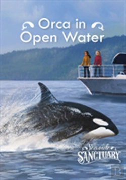 Bertrand.pt - Orca In Open Water