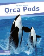 Orca Pods
