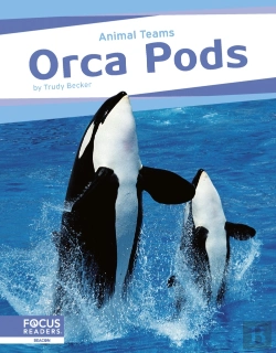 Bertrand.pt - Orca Pods