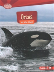 Orcas On The Hunt
