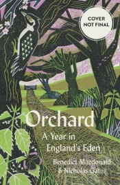 Orchard