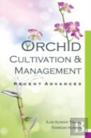 Orchid