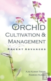 Orchid